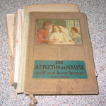 Die Aerztin im Hause