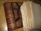 Hl. Schrift